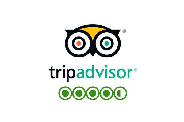 Trip advisor logo on the display of the website