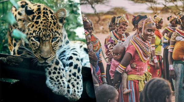A leopard and some people in different colored clothing