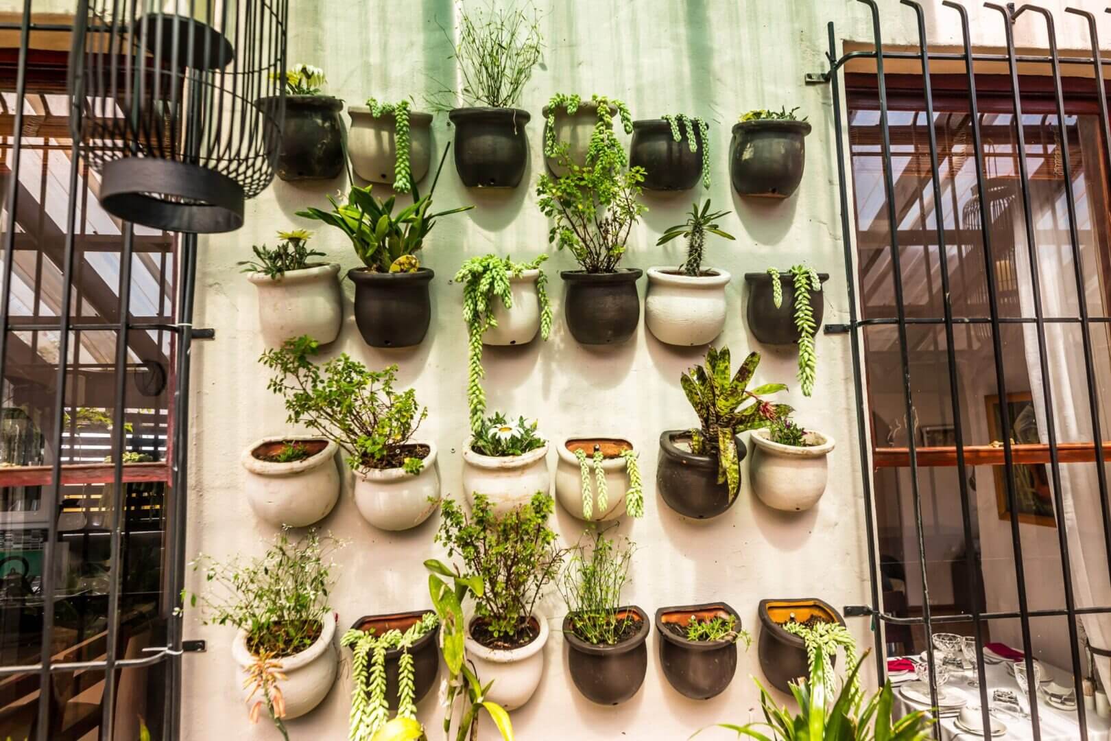 A wall of plants in pots on the side of a building.