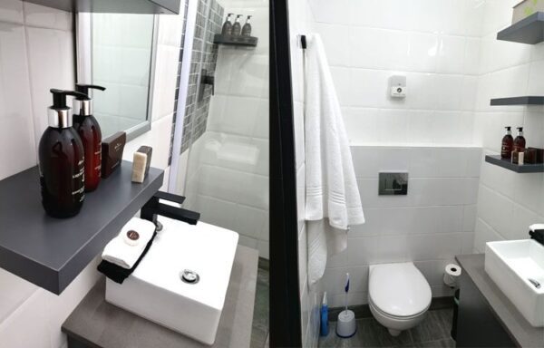 A bathroom with two different designs of the same style.