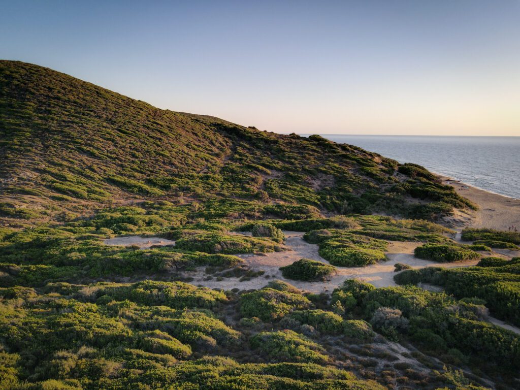 south africa garden route tour