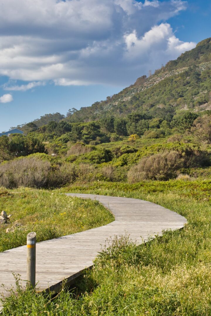 Questions To Ask Before Booking With a Sustainable Travel Agency