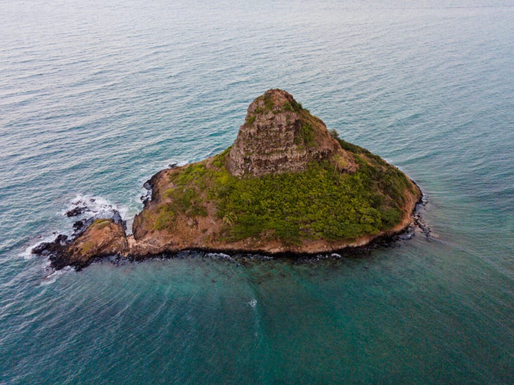 Things to Do and See in Cape Town